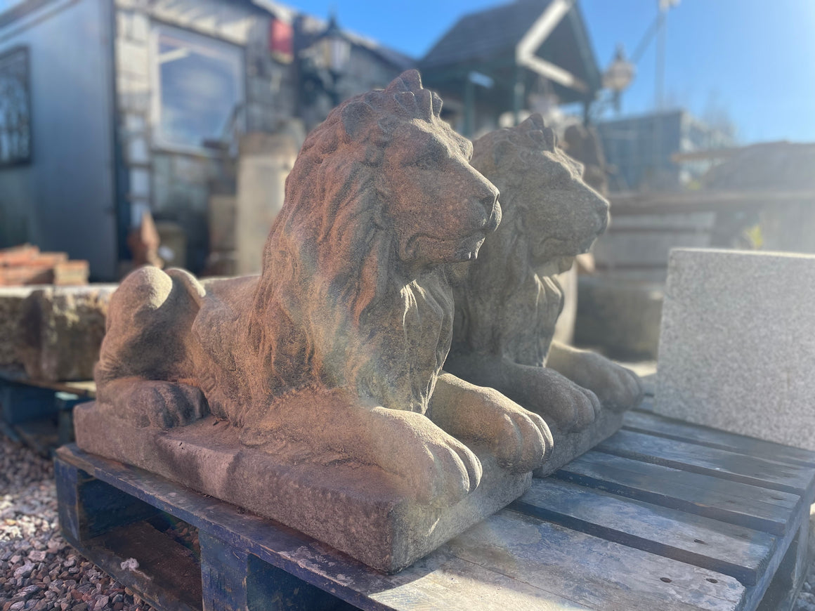 Pair of Stone Lions
